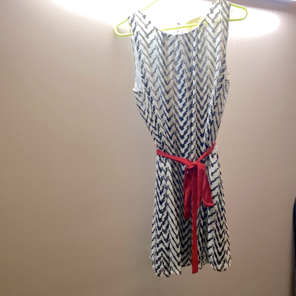 Zebra Print, Mini Dress